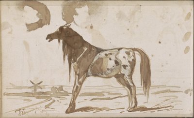 Flatt landskap med en hest av Johannes Tavenraat
