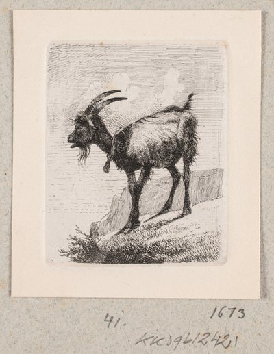 En geit med en bjelle av Johannes Wilhelm Zillen