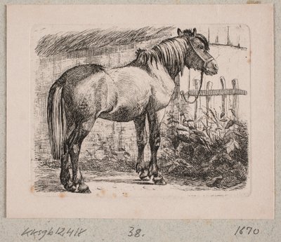 En hest med grime av Johannes Wilhelm Zillen
