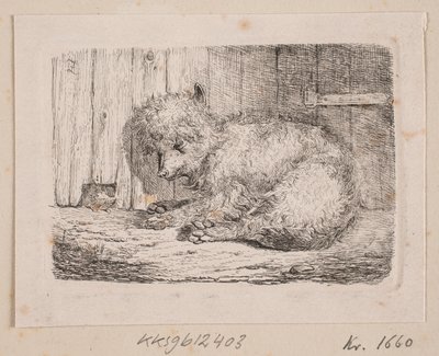 En langhåret hund av Johannes Wilhelm Zillen