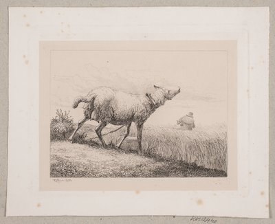 En blåsende sau av Johannes Wilhelm Zillen