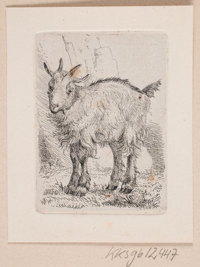 En geitunge av Johannes Wilhelm Zillen