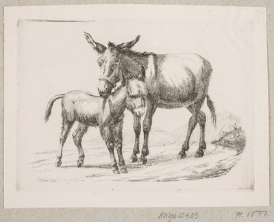 Et esel med føllet sitt av Johannes Wilhelm Zillen