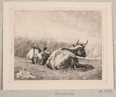 To hvilende kyr av Johannes Wilhelm Zillen