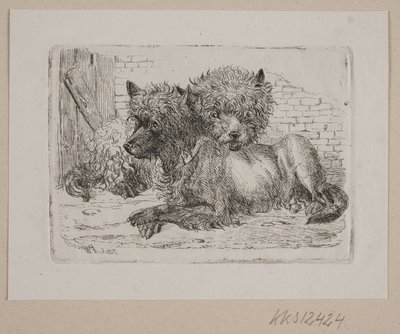 To liggende hunder av Johannes Wilhelm Zillen