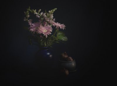 Mørkt blomsterstilleben av John-Mei Zhong