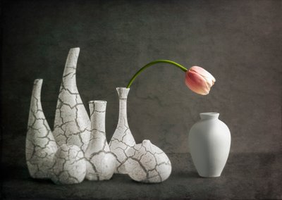 Rosa tulipanvaser med sprekker av John-Mei Zhong
