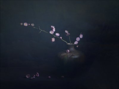 Stilleben med plommeblomster av John-Mei Zhong
