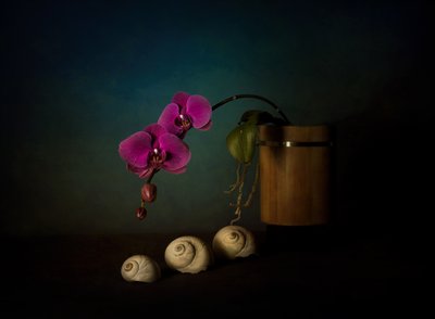 Stilleben med lilla orkideer av John-Mei Zhong
