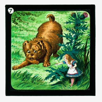 Alice i Eventyrland, fargede lanternelys (lanternelys) av John (after) Tenniel
