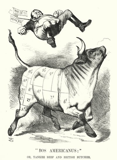 Punch tegneserie: Bos Americanus; eller, Yankee Beef og British Butcher - forventede fordeler for forbrukere ved å importere amerikansk kjøtt (gravering) av John (after) Tenniel