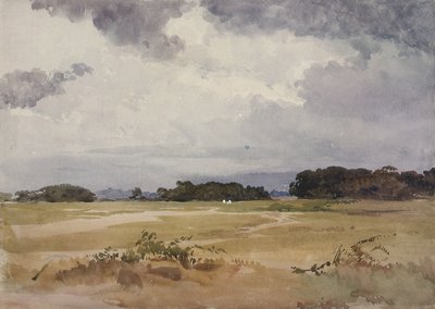 Et felt med grupper av trær, 1800-tallet; av John Absolon