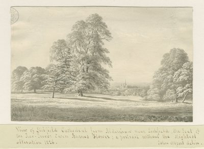 Lichfield Cathedral - Utsikt fra Aldershaw (fjern): sepia-tegning av John Allport
