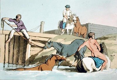 Badende hester, etset av kunstneren, utgitt 1803 (farge litho) av John Augustus Atkinson