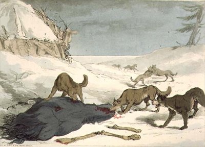 The Wolf Hunt, plate 74 fra bind III av 