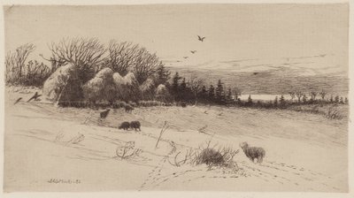 Kveld etter stormen av John Austin Sands Monks