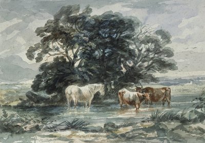 Landskap, to kyr og en hest som står i vann, (skisse) av John Barker