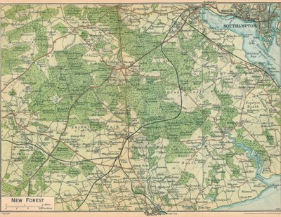 New Forest, c20th Century av John Bartholomew