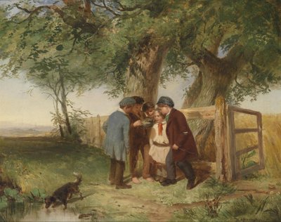 Fugleredet av John Blake MacDonald
