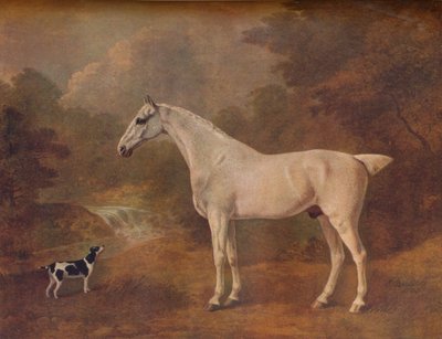 En loppebitt grå og en flekket terrier, 1803. av John Boultbee