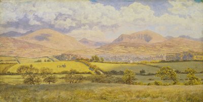  av John Brett