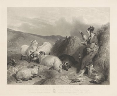 Lassie gjeter sauer. av John Burnet