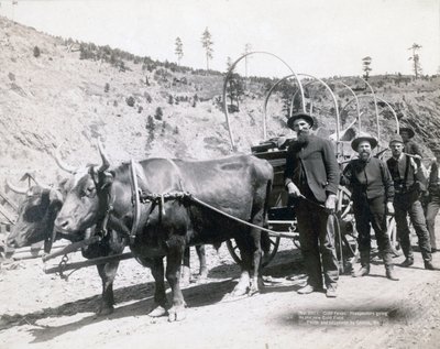 Gold Fever in South Dakota av John C. H. Grabill