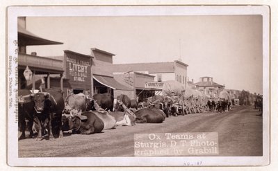Okselag i Sturgis, D.T., pub.1887 - 1892 (bilde) av John C. H. Grabill