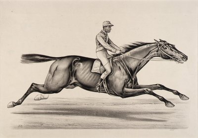  av John Cameron
