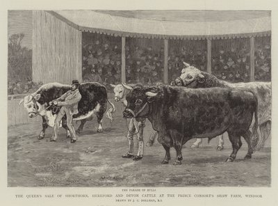 Dronningens salg av Shorthorn, Hereford og Devon Cattle på Prince Consort's Shaw Farm, Windsor av John Charles Dollman
