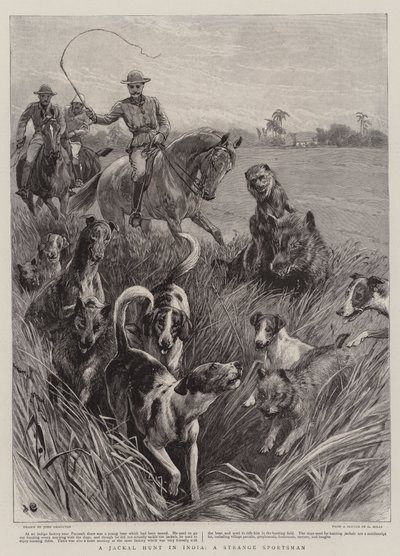En sjakaljakt i India, en merkelig idrettsmann av John Charlton
