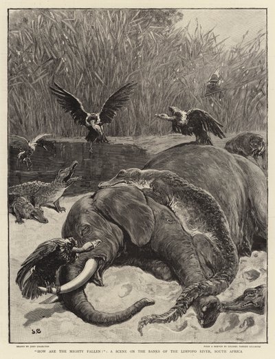 Hvordan er de mektige falt!, en scene på bredden av Limpopo-elven, Sør-Afrika av John Charlton