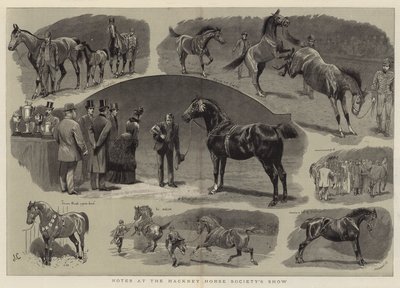 Notater på Hackney Horse Society Show av John Charlton