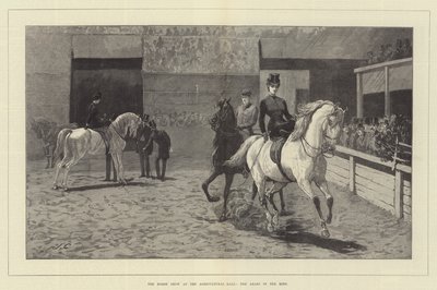 Hesteshowet på Landbrukshallen, Araberne i Ringen av John Charlton