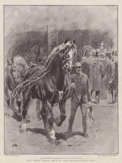 The Shire Horse Show på Landbrukshallen av John Charlton
