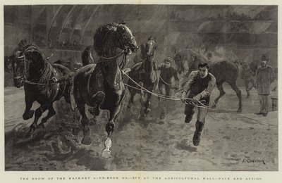 Showet til Hackney Stud-Book Society i Agricultural Hall, Pace and Action av John Charlton