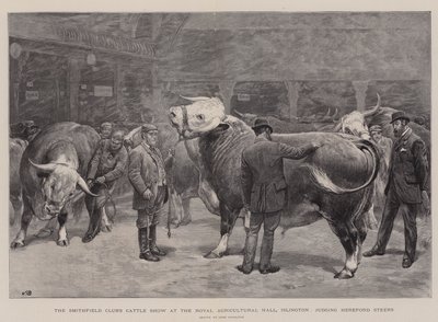 Smithfield Club's Cattle Show i Royal Agricultural Hall, Islington, dømte Hereford Steers av John Charlton