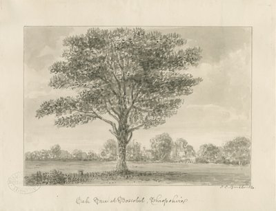 Boscobel - The Royal Oak: sepia-tegning, 1820 av John Chessell Buckler