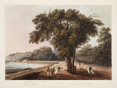 St Cloud, The Great Walk of St Cloud, The Bridge of Sevres, etc. etc., illustrasjon fra Versailles, Paris og Saint Denis, pub. 1805 (akvatint) av John Claude Nattes