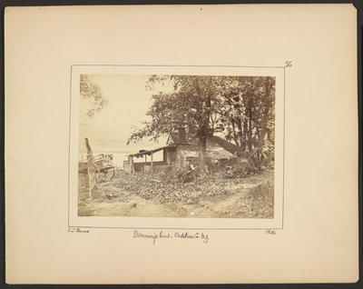  av John Coates Browne