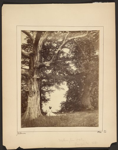  av John Coates Browne