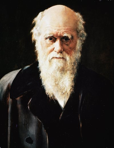 Portrett av den engelske naturforskeren Charles Darwin, detalj (olje på lerret av John Collier