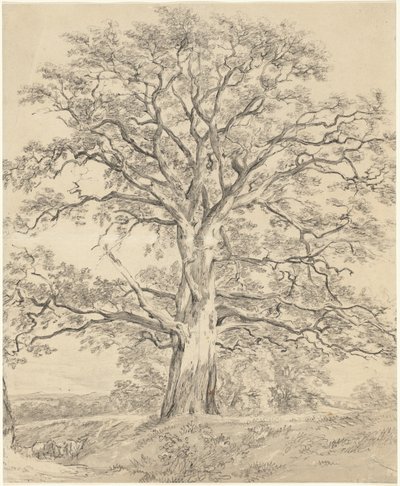 Et flott eiketre av John Constable