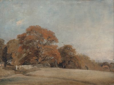  av John Constable