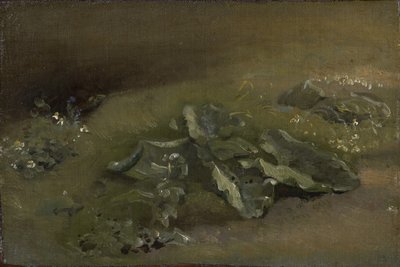 Studie av en burdock, ca. 1810-14 eller ca. 1828 av John Constable