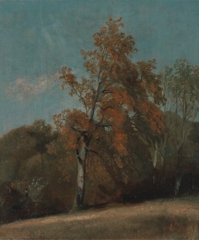 Studie av et asketre, mellom 1801 og 1803 eller mellom 1810 og 1830. av John Constable
