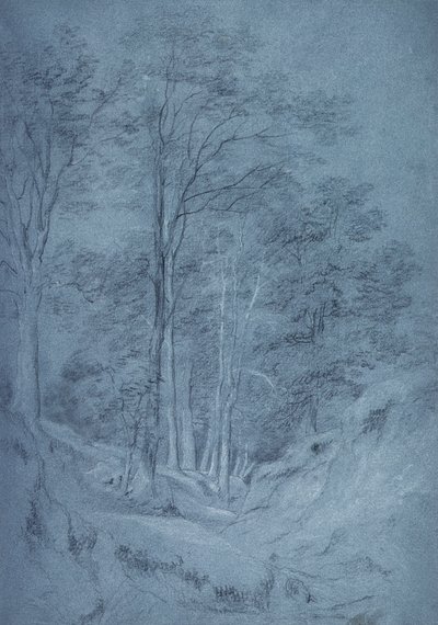 Studie av aske og andre trær (blyant på papir, forsterket med hvitt kritt) av John Constable