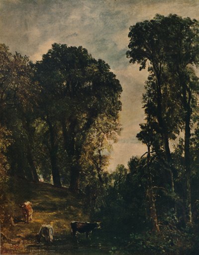 Trær nær Hampstead Church, 1829, c1915 av John Constable