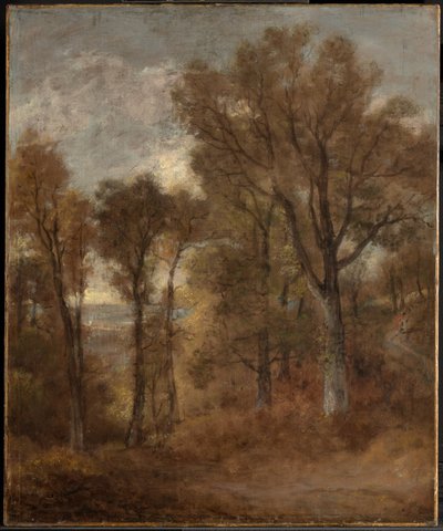 Skoglandskap med utsikt over Dedham Vale av John Constable