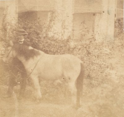 [Mann og hest, regjeringshuset, Allahabad], 1858. av John Constantine Stanley